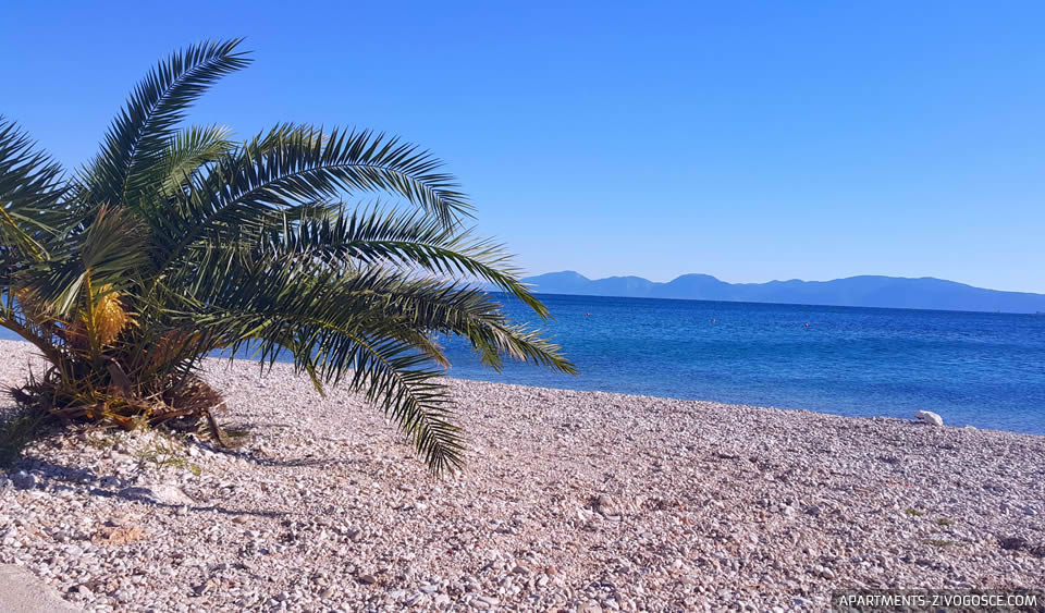 Živogošće Blato plaža