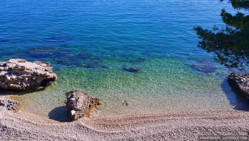 Živogošće Blato plaža Dole