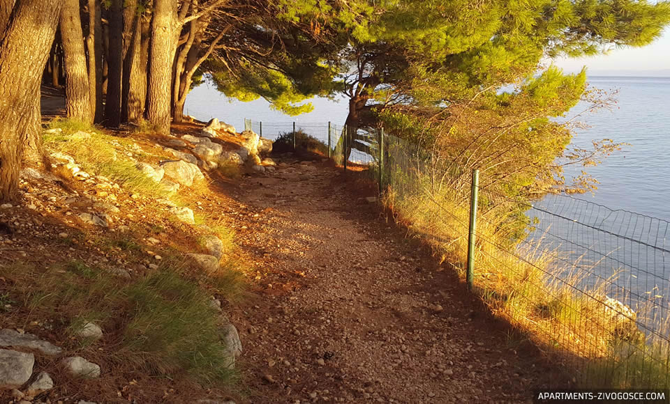 Živogošće Blato plaža Dole
