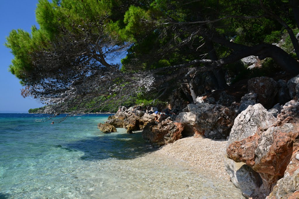 Velika Duba plaža Živogošće Blato