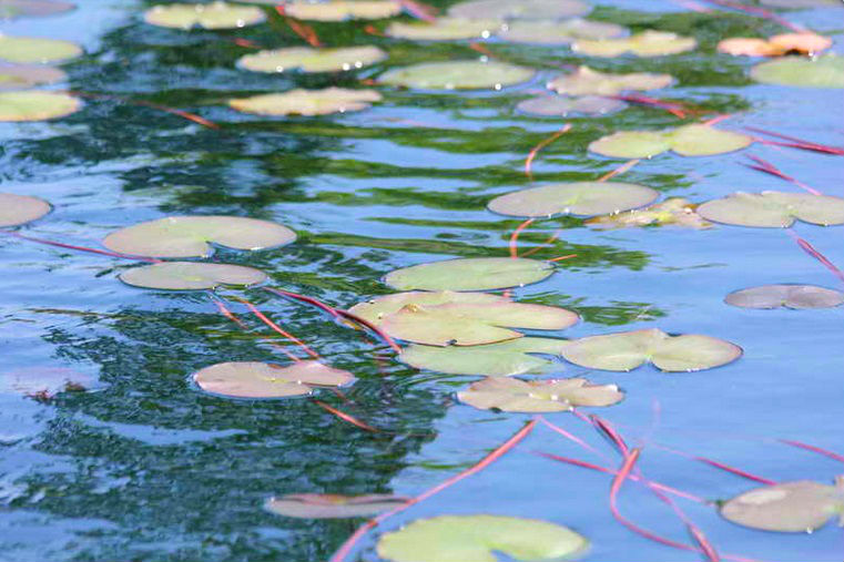 bacinska jezera